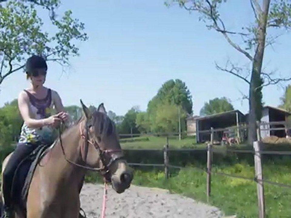 IMGP3137
