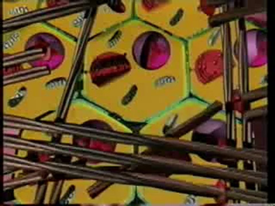 Dr Rath, Cancer et substances nutritives thérapeutiques