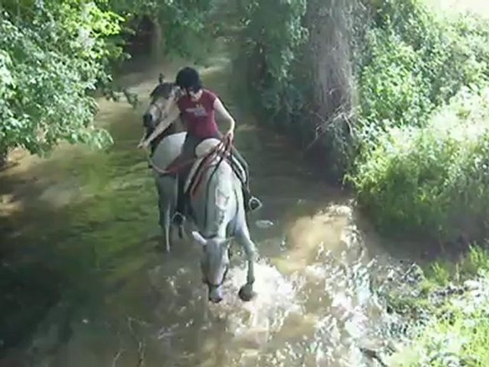 IMGP3151