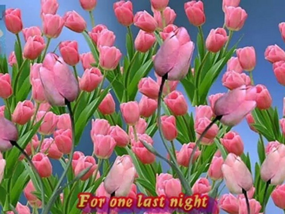 Brenda K. Starr - Love Me Like The First Time