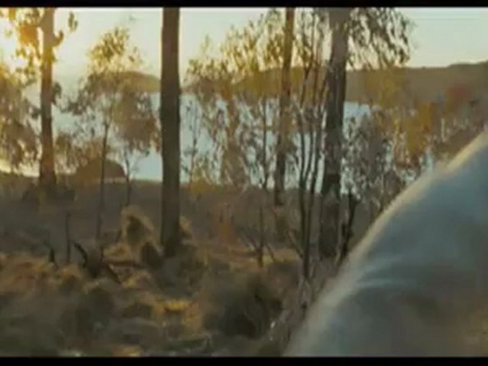 Where The Wild Things Are