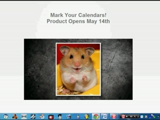 Constant Cash Machine Review