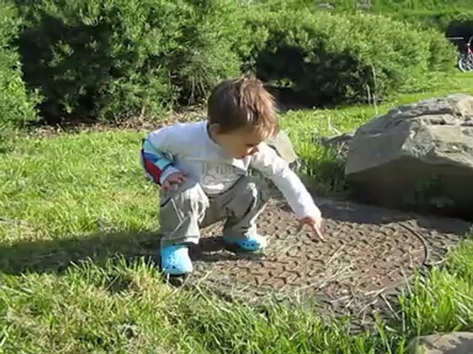 Noah