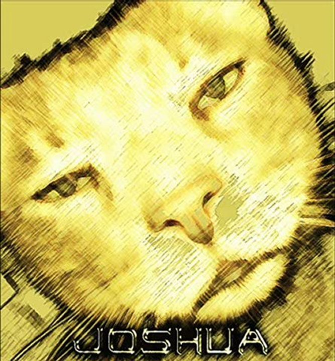 Deadmau5 vs Empire of The Sun - I Remember/We Are The People (Joshua remix)