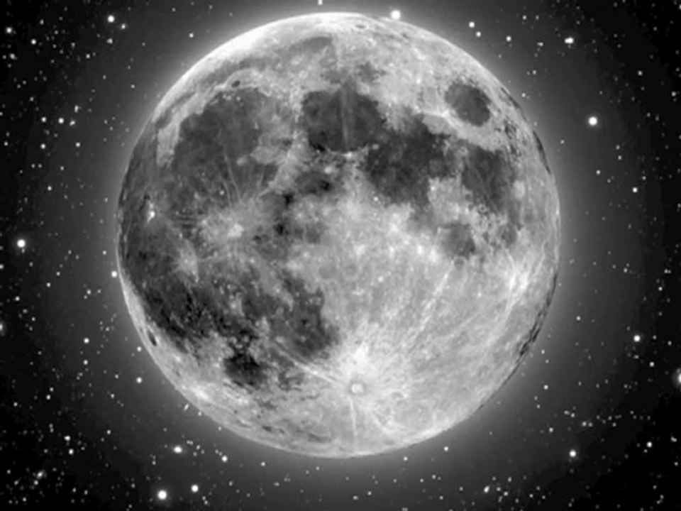 ما حكم شركات التأمين