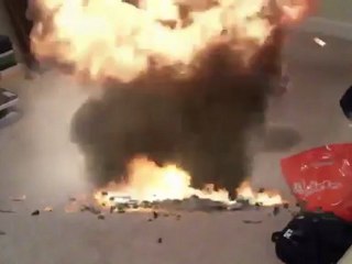 Dog is too cute, plays dead