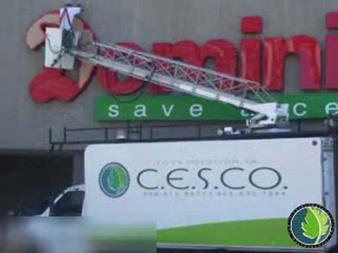 Signs Orchard Burlington CES CO Signs & Lighting