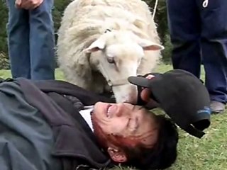 Black Sheep - Exclusive interview Jonathan King