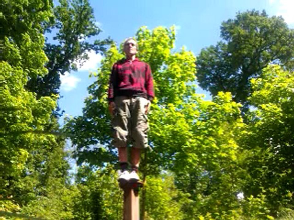 Wing chun one leg.