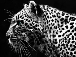 Sen Benim Hergece Efkarım yeni versiyon