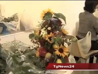 Leccenews24 notizie dal Salento in tempo reale: Tg 12 Maggio