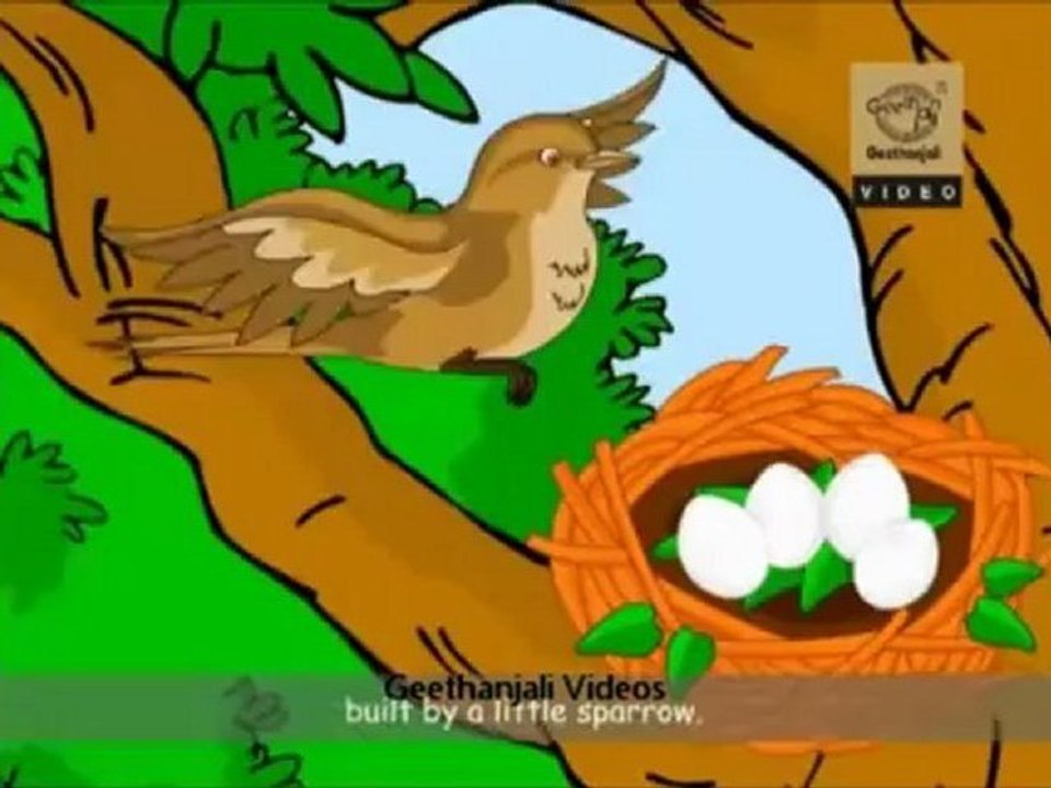 Alphabet Song - "N"