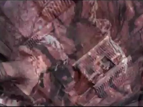 Dead Space - Game footage - Zero - G