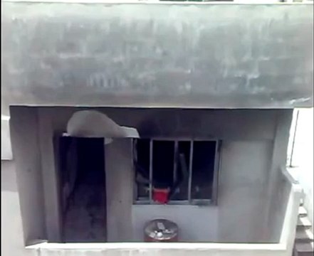 Syria فري برس حمص حي عشيرة الدمار الذي خلفته عصابات الاسد ج8 Homs