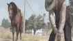 Red Dead Redemption - The Law Trailer