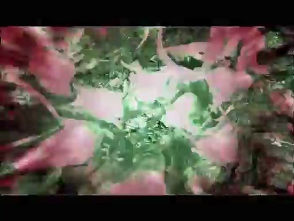 Two Worlds II - Story Trailer