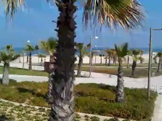 okyanos beach holidays in herzliya dan accadaia