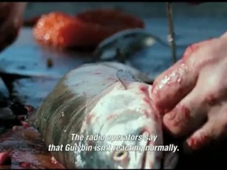 How I Ended This Summer - Trailer