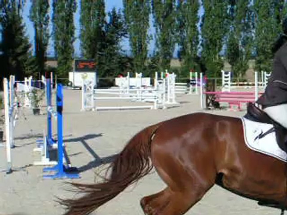 VIDEO BANEINS 2