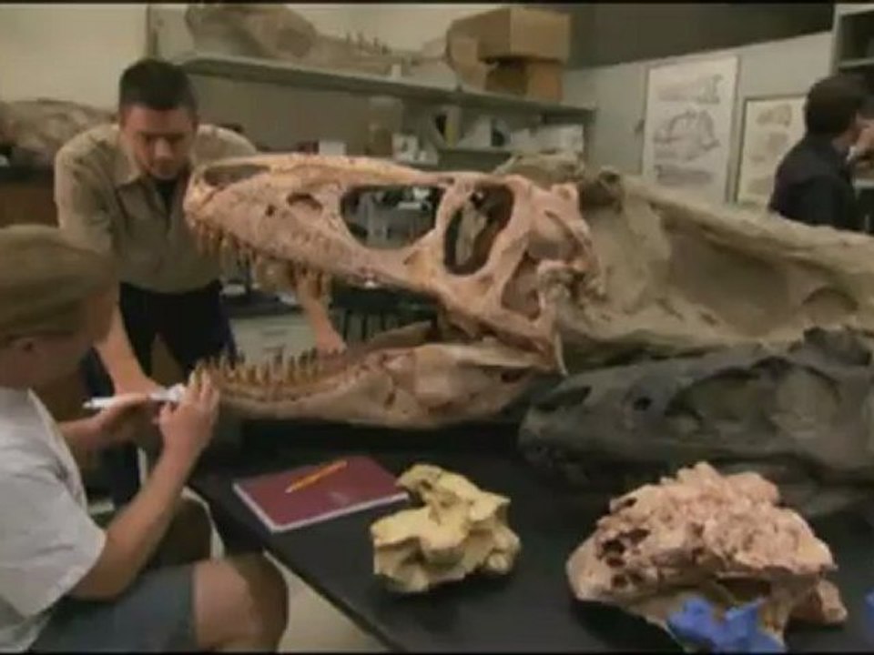 Dinosaur Secrets