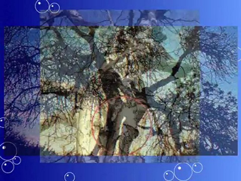 nature sexi