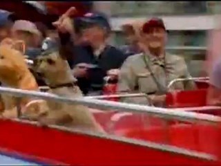 Garfield 2 - Clip - Take the picture