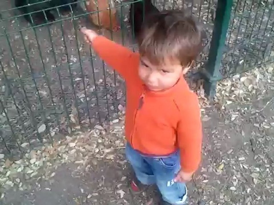 video-2012-05-12-18-17-43