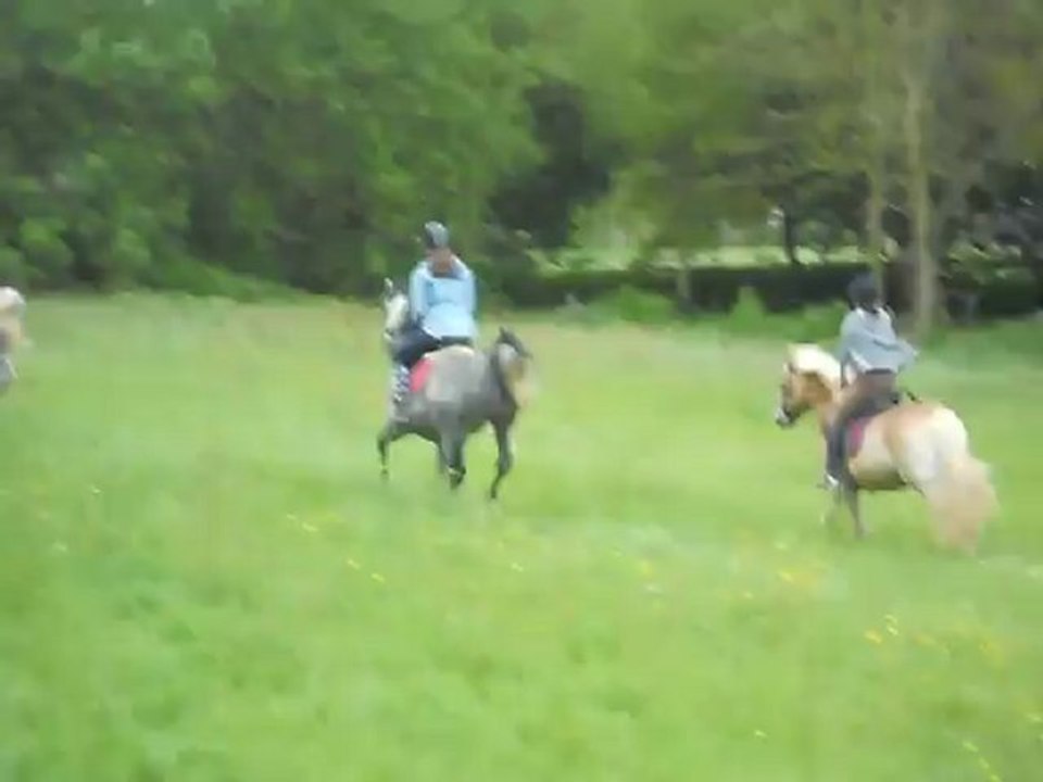 Galop en bord de Mayenne !