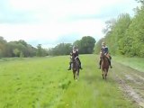 Galop en bord de Mayenne !