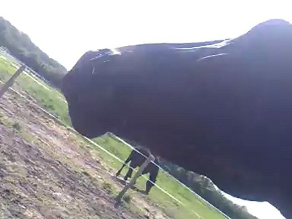 13052012075