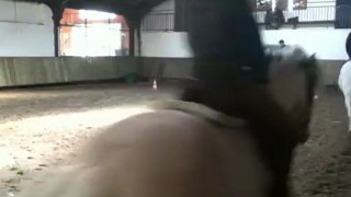 Galop avec Némo le 13 mai 2012