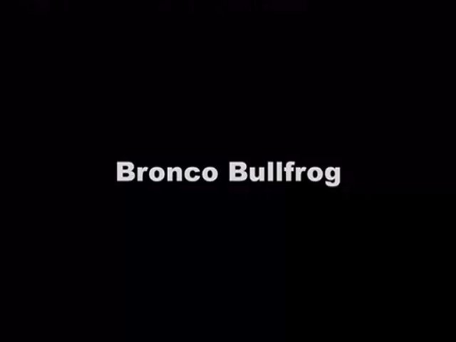 Bronco Bullfrog – Trailer
