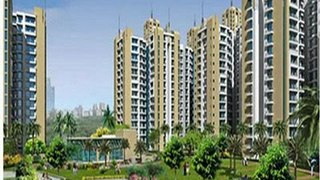 Prateek edifice noida | Prateek edifice | Best Dealer of Prateek edifice @ 09971495543 @ Sector-107 Noida