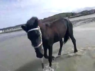 Alane première fois dans la mer