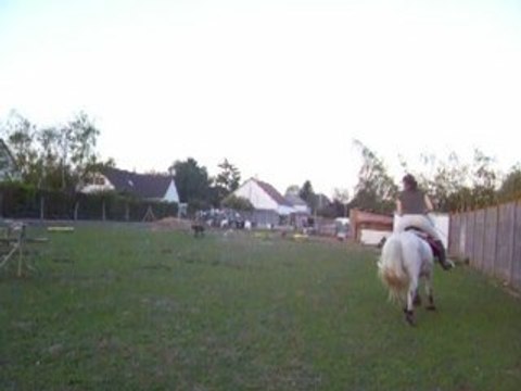 Obstacle (ligne bidon-oxer)