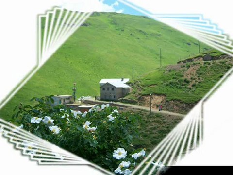 SALİH KADI-KIZ BAHÇENDE GÜL VARMI