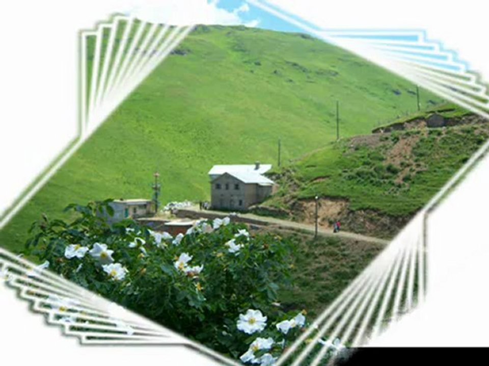 SALİH KADI-KIZ BAHÇENDE GÜL VARMI