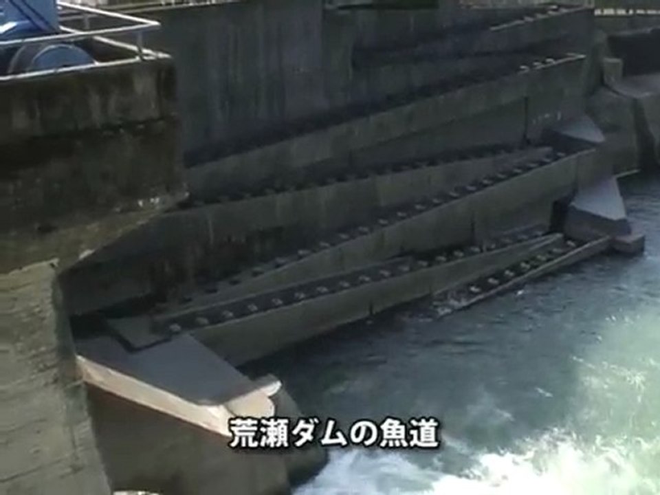 日本初のダム撤去へ！～熊本県・荒瀬ダム OurPlanetTV