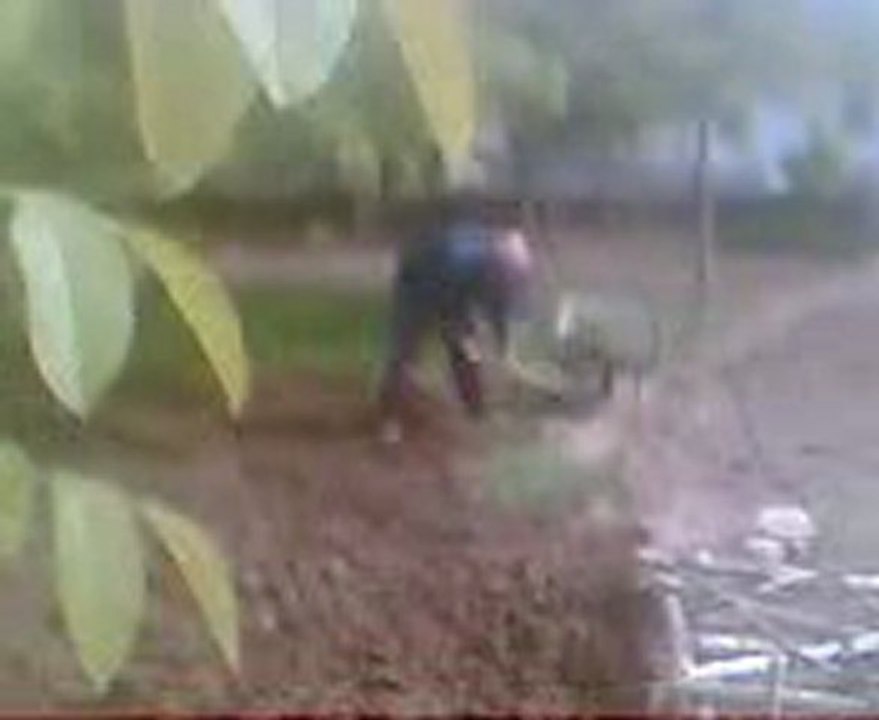 Yusuf KIYMAZ bahçe işleri Karaağaç Köyü Çelebi/Kırıkkale