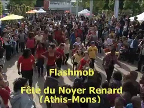 Flashmob Ya Ka Danser de Jessy-K à la fête du Noyer Renard (Athis-Mons)