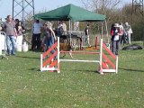 1er concours agility