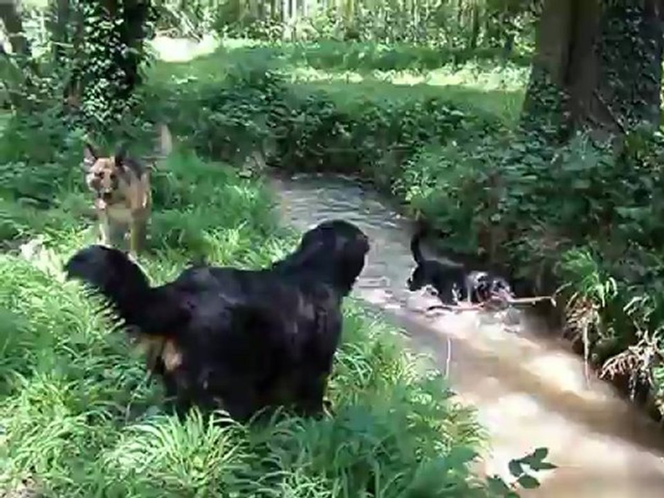 ballade du 13 mai 2012 002