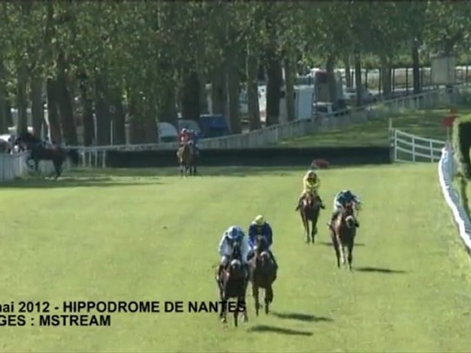 Impressionnant ! Un cheval fait un soleil lors d'une course à l'Hippodrome de Nantes