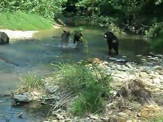 ballade du 13 mai 2012 020