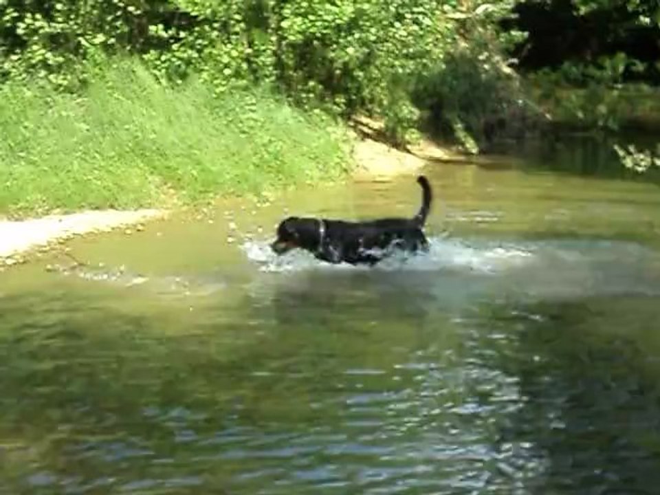 ballade du 13 mai 2012 021