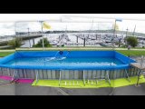 Montage piscine 100 mètres cube mai 2012.