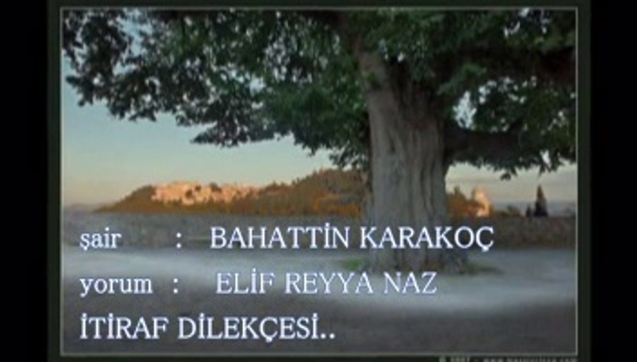 ELİF REYYA NAZ-BAHATTİN KARAKOÇ     İTİRAF DİLEKÇESİ