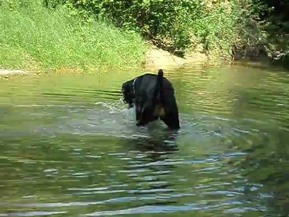 ballade du 13 mai 2012 027