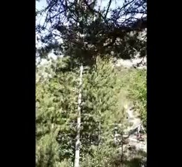 VTT Col De Foureyssasse