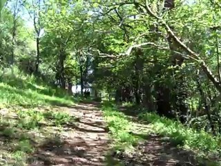 Quazac, son troupeau, son pré...